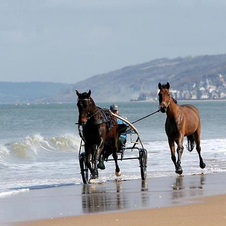 Le Nid De Plage A 100 M De La Mer Cabourg Exteriér fotografie