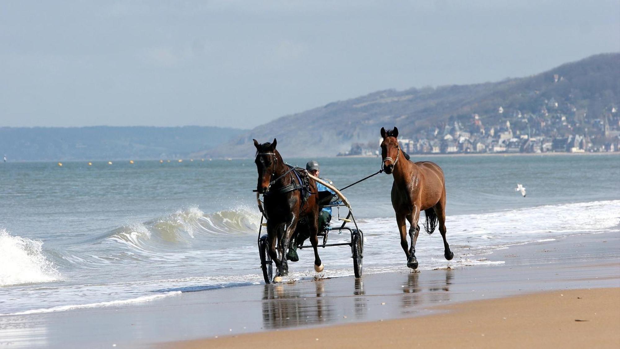 Le Nid De Plage A 100 M De La Mer Cabourg Exteriér fotografie